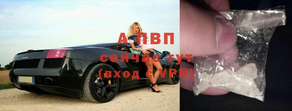прущие крисы Зеленокумск
