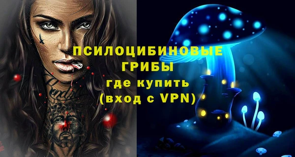прущие крисы Зеленокумск