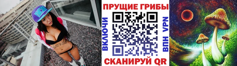 Псилоцибиновые грибы Magic Shrooms  Купить  Таштагол 
